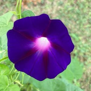 Meet your Posher, Addison